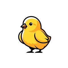 Close up of a yellow chick photo