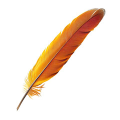 Close-up of a vibrant orange-red bird feather. A single, ornate feather, sharply angled, displays a gradient from orange to reddish-brown, with a fuzzy, textured vane