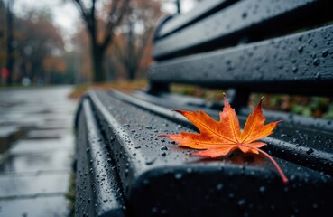 A single orange maple leaf rests on a wet park bench during rainy weather in autumn