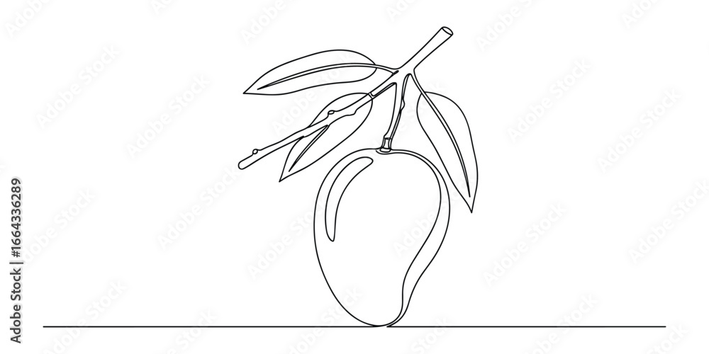 Poster minimalist one line drawing of a mango with leaves on branch. simple outline vector illustration.
