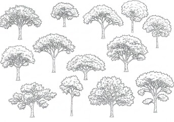 Fototapeta premium Discover a collection of beautifully rendered, diverse tree sketches perfect for adding natural charm to your designs, offering versatile artistic elements for any project.