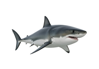 Fototapeta premium A large, formidable great white shark stands out against a stark black backdrop.
