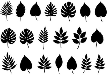 Fototapeta premium Collection of various leaf silhouettes, including monstera and fern leaves.