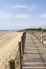 Fototapeta premium Dunas Park in the south from Porto, Atlantic ocean coast, Portugal 
