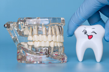 Model of a jaw with implants and a winking tooth