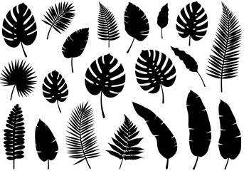 Stunning collection of diverse tropical leaf silhouettes in a clean, modern black and white design perfect for vibrant summer and travel themes.