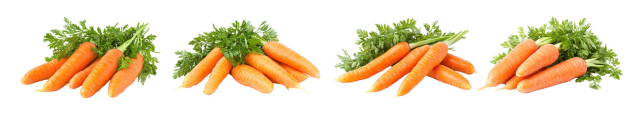 Fresh carrots with leafy green tops arranged in bunches on white background. Orange root vegetables harvested with stems attached for organic produce.