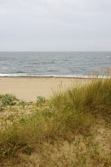 Dunas Park in the south from Porto, Atlantic ocean coast, Portugal       