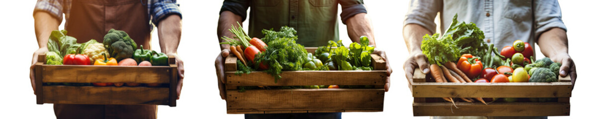 Farmers holding wooden crates filled with fresh vegetables on white. Organic harvest includes carrots, peppers, broccoli, and leafy greens.