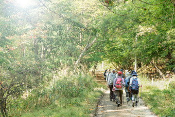Fototapeta premium 山梨県、西沢渓谷の景色