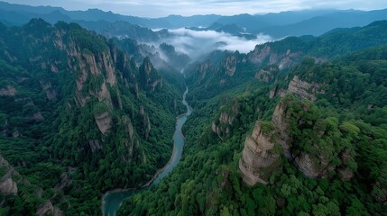 Naklejka premium Zhangjiajie Sandstone Pillars Rising Through Misty Forest with Ethereal Atmosphere and Towering Vertical Cliffs in High Realism 