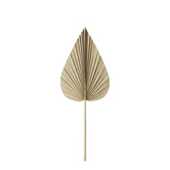 A single dried palm leaf spear with an elongated, tapered form, natural texture, and earthy tones of beige, tan, and muted light brown, isolated on a clean transparent studio background, concept
