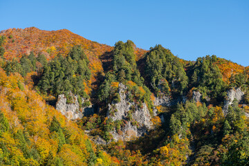 鳥甲山の青空