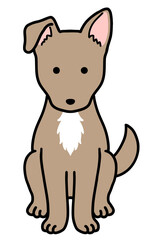 犬・保護犬・雑種犬／茶色い犬胸毛白