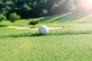 新緑の芝生が綺麗なゴルフ場