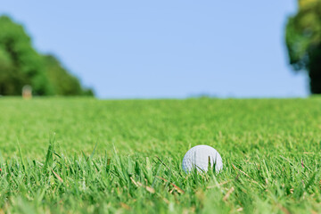 新緑の芝生が綺麗なゴルフ場