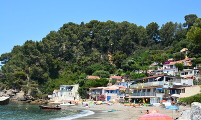 Toulon  Calanques Pin Galle