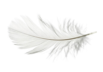 Obraz premium Single White Feather on White Background: Delicate, Light, Airy Texture isolated on transparent background