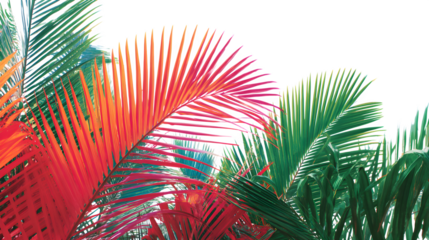 Vibrant palm fronds in striking shades of green, red, and orange create a tropical, abstract pattern.