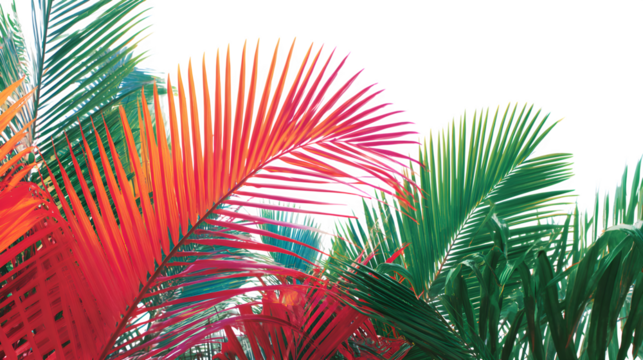Vibrant palm fronds in striking shades of green, red, and orange create a tropical, abstract pattern.