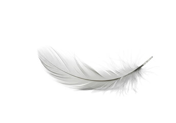 Obraz premium Single White Feather on White Background: Delicate, Light, Airy Texture isolated on transparent background