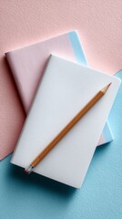 Minimalist stationery flat lay featuring blank notebooks on pastel backgrounds