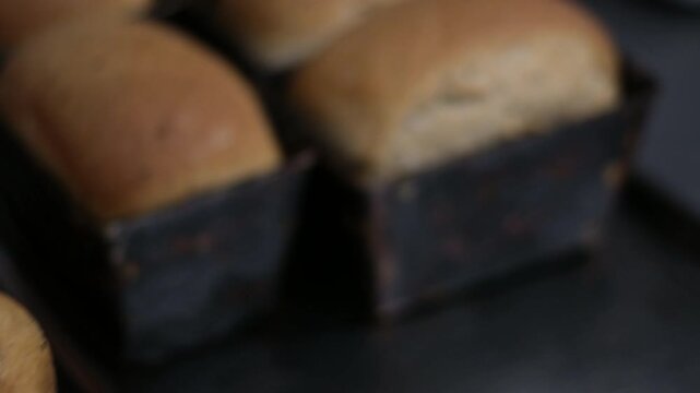 bake hot bread remove from oven put out to cool mature woman opens oven, removes fresh loaf of bread, and smells it then puts on stove top to cool in her home