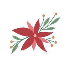 Festive poinsettia flower with holly branches and berries for Christmas and winter decoration