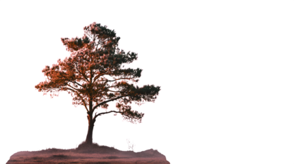 Stylized Tree Silhouette, isolated on transparent background