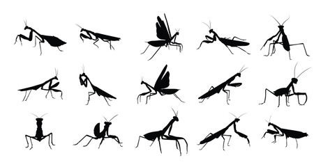 set mantis silhouette vector illustration 