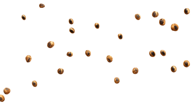 Falling Hazelnuts, isolated on transparent background