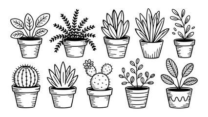 Hand drawn potted plants collection vector illustration for home decor and gardening concepts design element