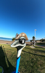 Emu public bollard at Emu Park Beach