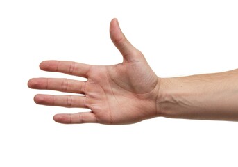 Human hand open and extended with the palm facing the viewer showing fingers and veins