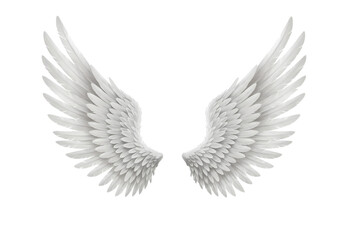 Obraz premium Pair of Angelic Wings
