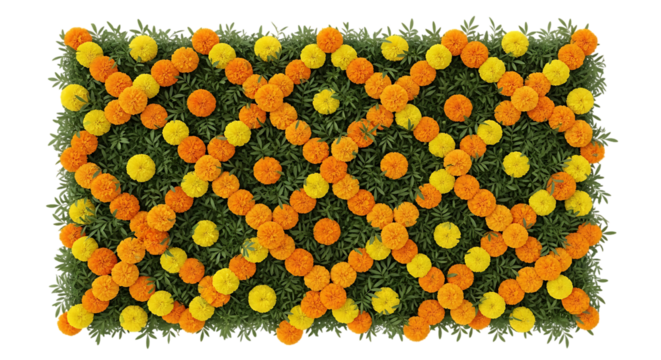 Vibrant floral tapestry with interweaving marigold chains and lush greenery