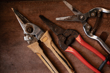 A collection of old, rusty pruning shears on a wooden table. Rustic gardening tools.