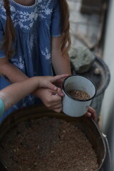 Girl feeds chickens. Bird food