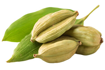 Fresh green cardamom pods arranged on vibrant green leaves, showcasing their natural texture and color