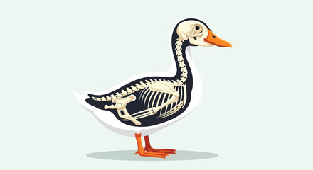 Obraz premium Anatomy of a Duck: Skeletal Structure Illustration