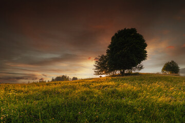 Górski krajobraz wśród wzgórz i bujnych zielonych pól, złota godzina, naturalne piękno, Beskidy, Cieńków, Polska © anettastar