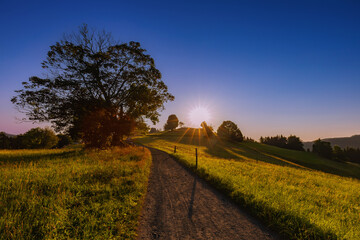 Górski krajobraz wśród wzgórz i bujnych zielonych pól, złota godzina, naturalne piękno, Beskidy, Cieńków, Polska © anettastar