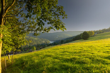 Górski krajobraz wśród wzgórz i bujnych zielonych pól, złota godzina, naturalne piękno, Beskidy, Cieńków, Polska © anettastar
