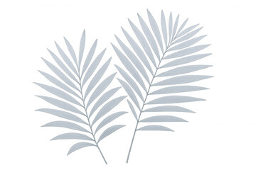 Light blue palm leaves gracefully intersecting, creating serene tropical composition against transparent backdrop