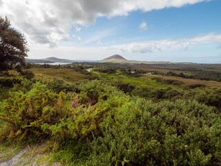 A lush green field with a mountain and ocean in the background. The sky is clear and blue....