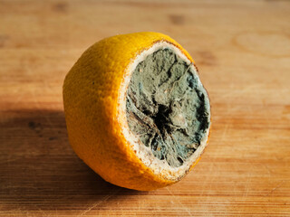 A rotten lemon is sitting on a wooden cutting board. The lemon is covered in mold and has a hole in...