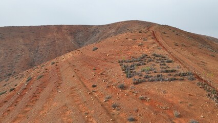 desert place where the scarce vegetation meets the mountains and the sand 