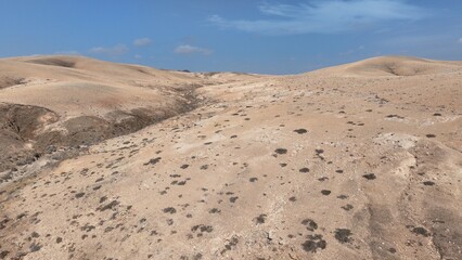 desert place where the scarce vegetation meets the mountains and the sand 