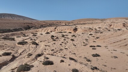 desert place where the scarce vegetation meets the mountains and the sand 
