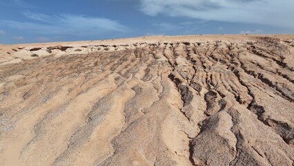 desert place where the scarce vegetation meets the mountains and the sand 